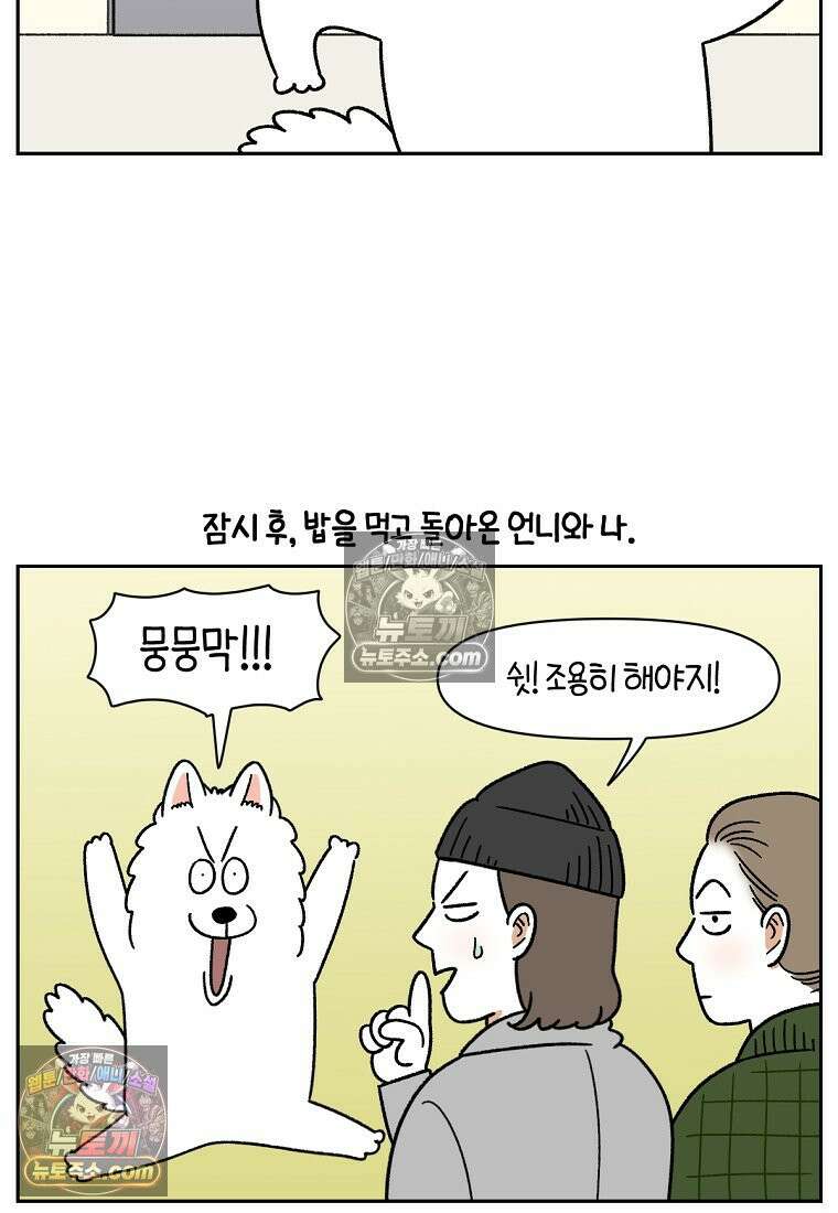 극한견주 시즌2 41화 몰래침대 7