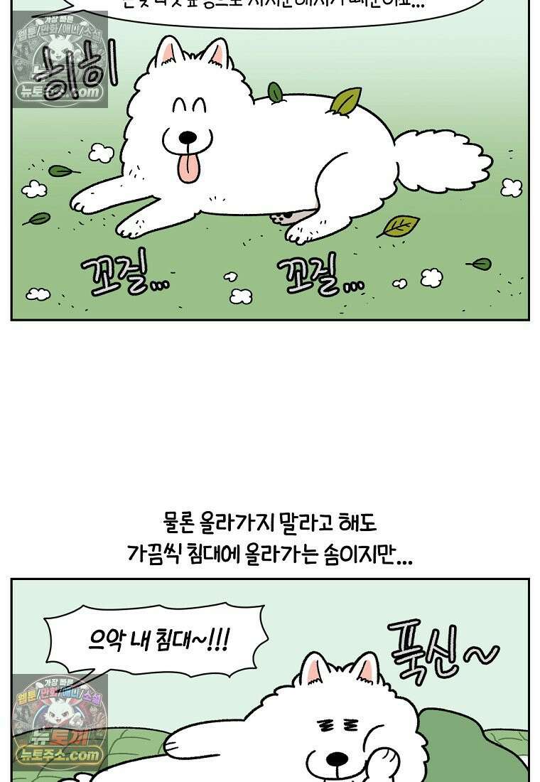 극한견주 시즌2 41화 몰래침대 12