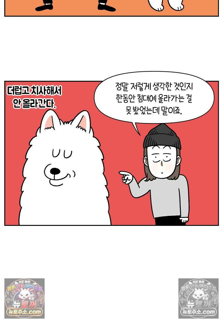 극한견주 시즌2 41화 몰래침대 14