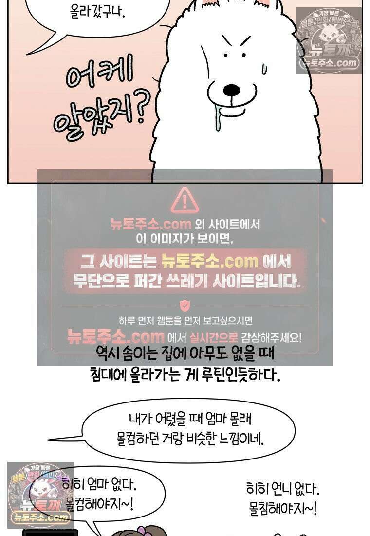 극한견주 시즌2 41화 몰래침대 24