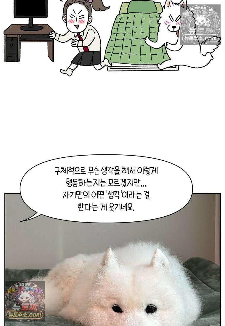 극한견주 시즌2 41화 몰래침대 25