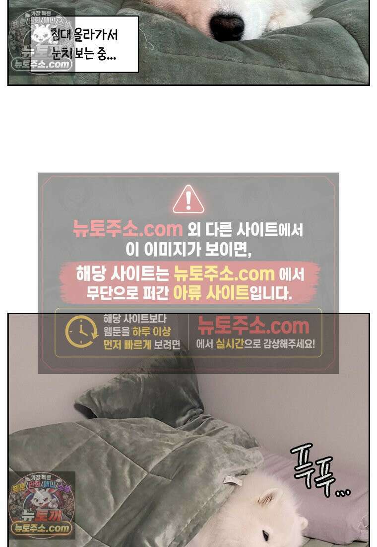 극한견주 시즌2 41화 몰래침대 26