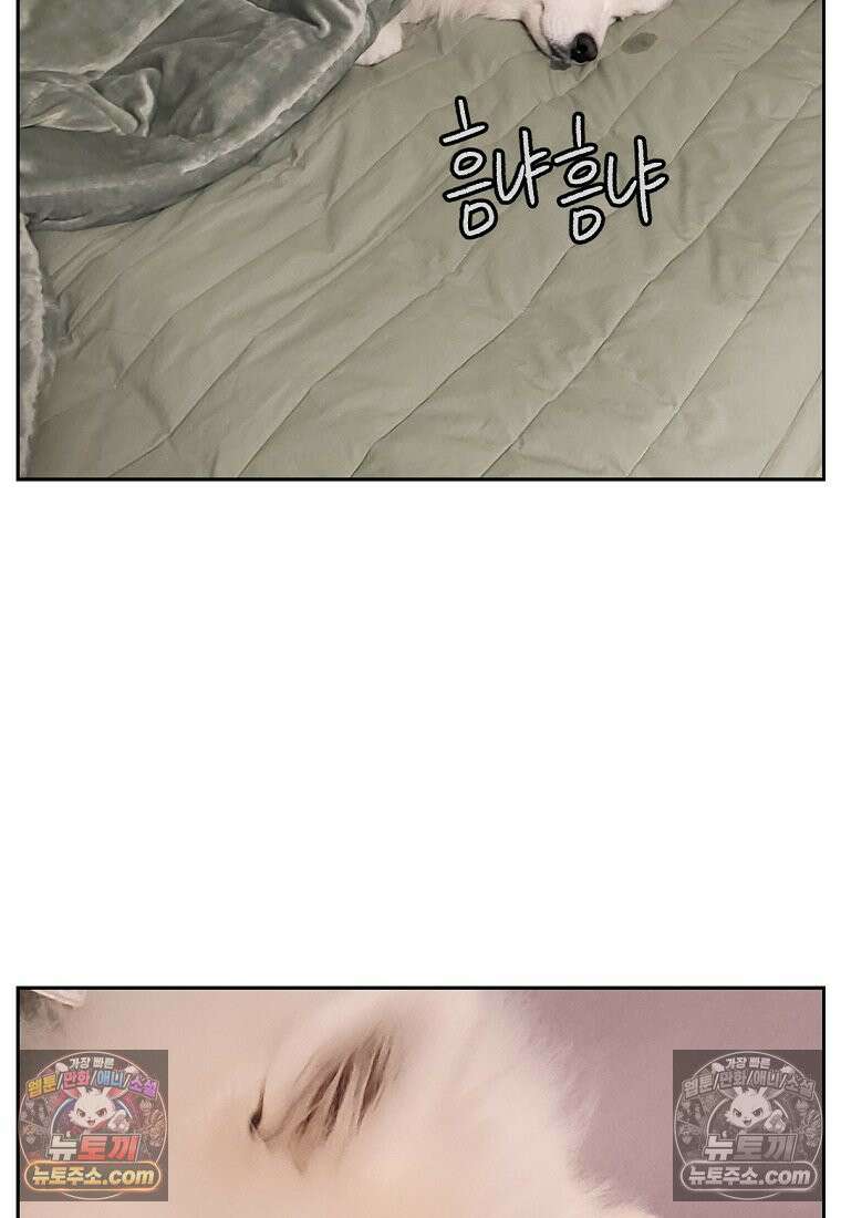 극한견주 시즌2 41화 몰래침대 27