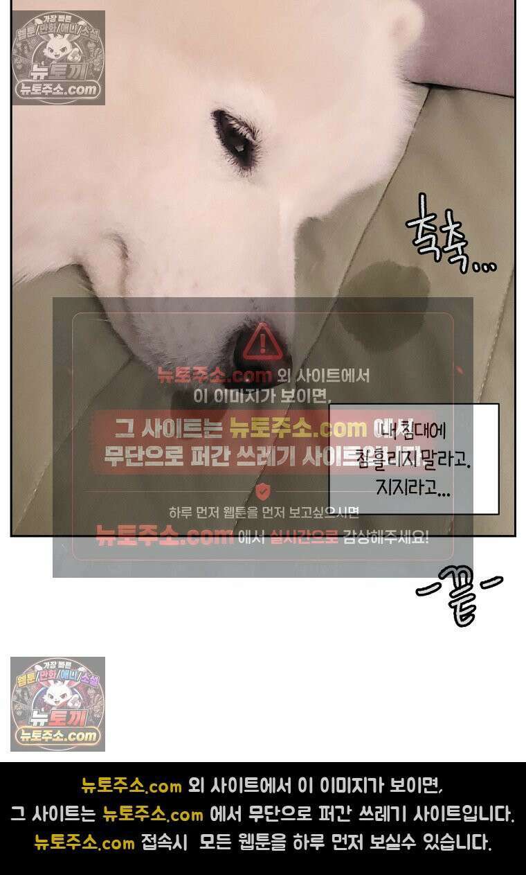 극한견주 시즌2 41화 몰래침대 28