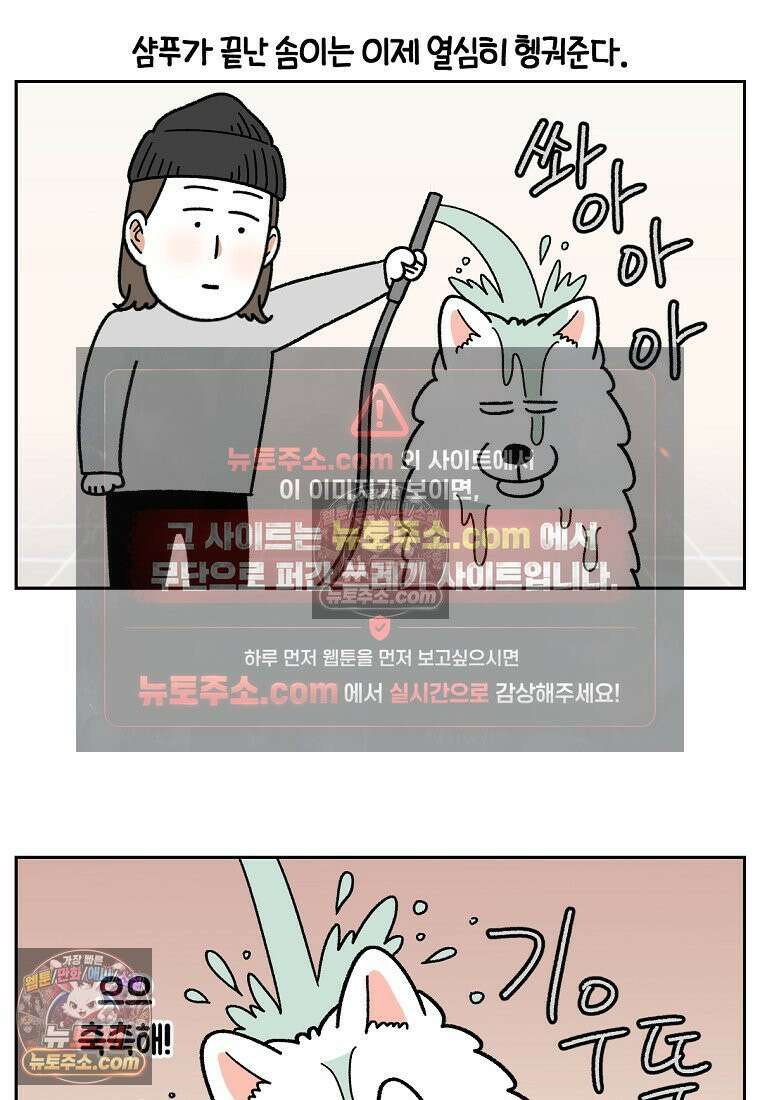 극한견주 시즌2 49화 목욕 마무리 2