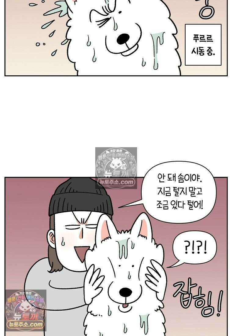 극한견주 시즌2 49화 목욕 마무리 3