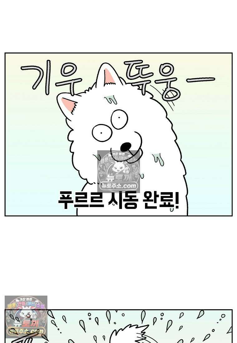 극한견주 시즌2 49화 목욕 마무리 5