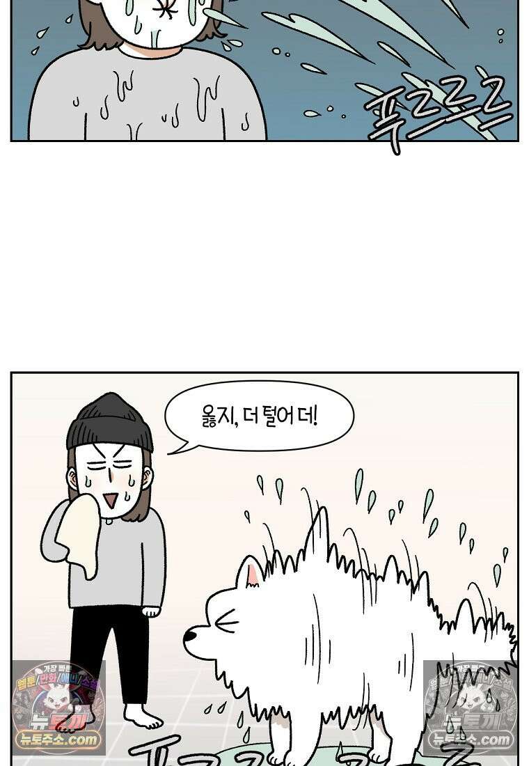 극한견주 시즌2 49화 목욕 마무리 7