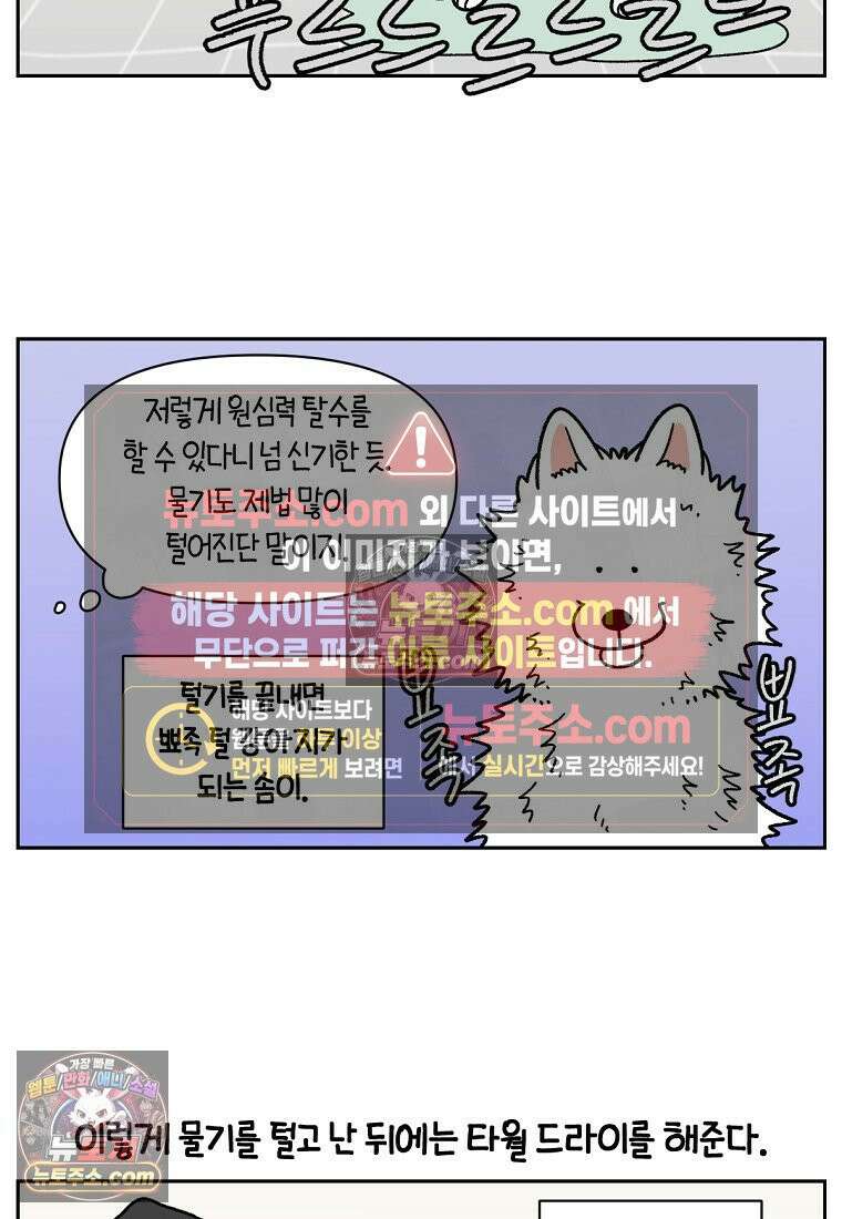 극한견주 시즌2 49화 목욕 마무리 8