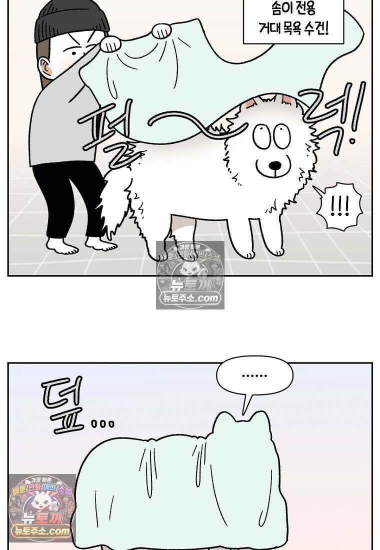 극한견주 시즌2 49화 목욕 마무리 9