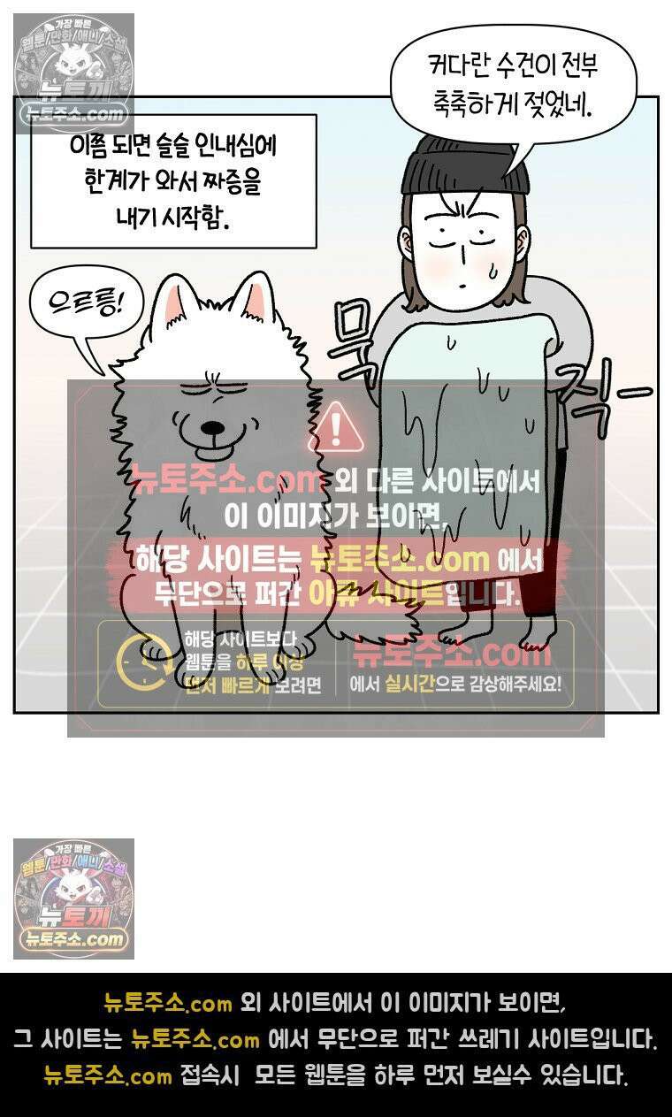 극한견주 시즌2 49화 목욕 마무리 11