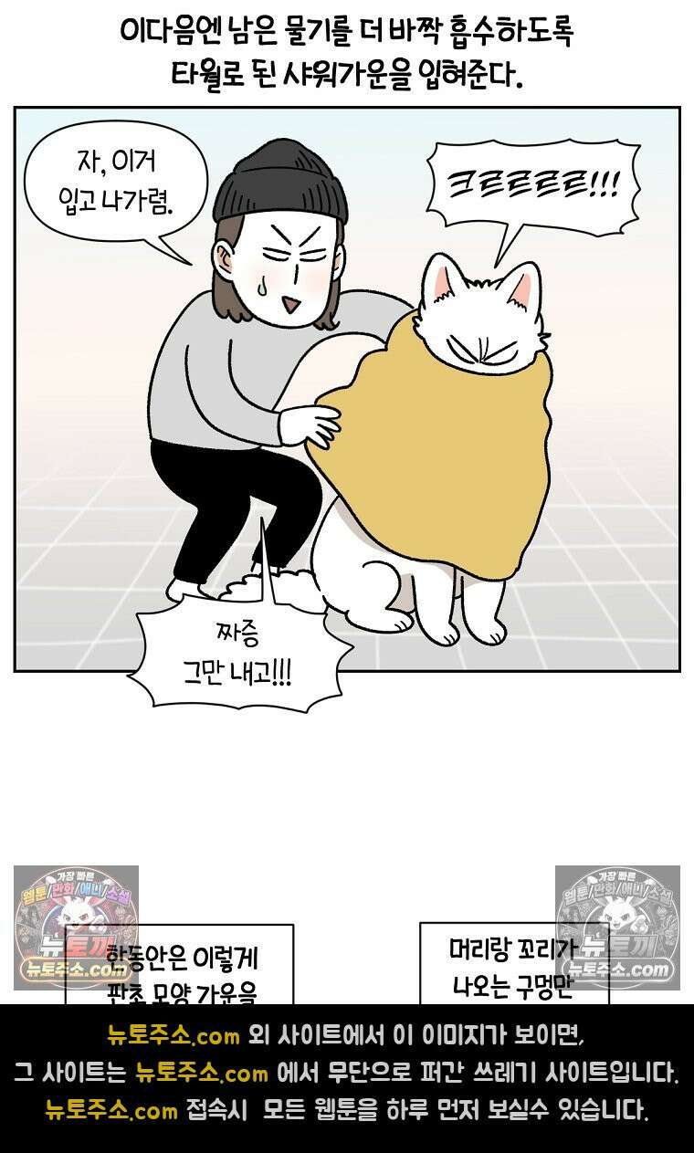 극한견주 시즌2 49화 목욕 마무리 12