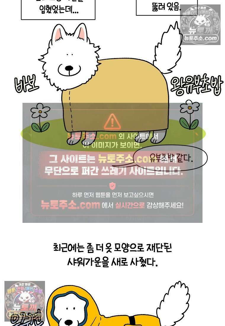 극한견주 시즌2 49화 목욕 마무리 13