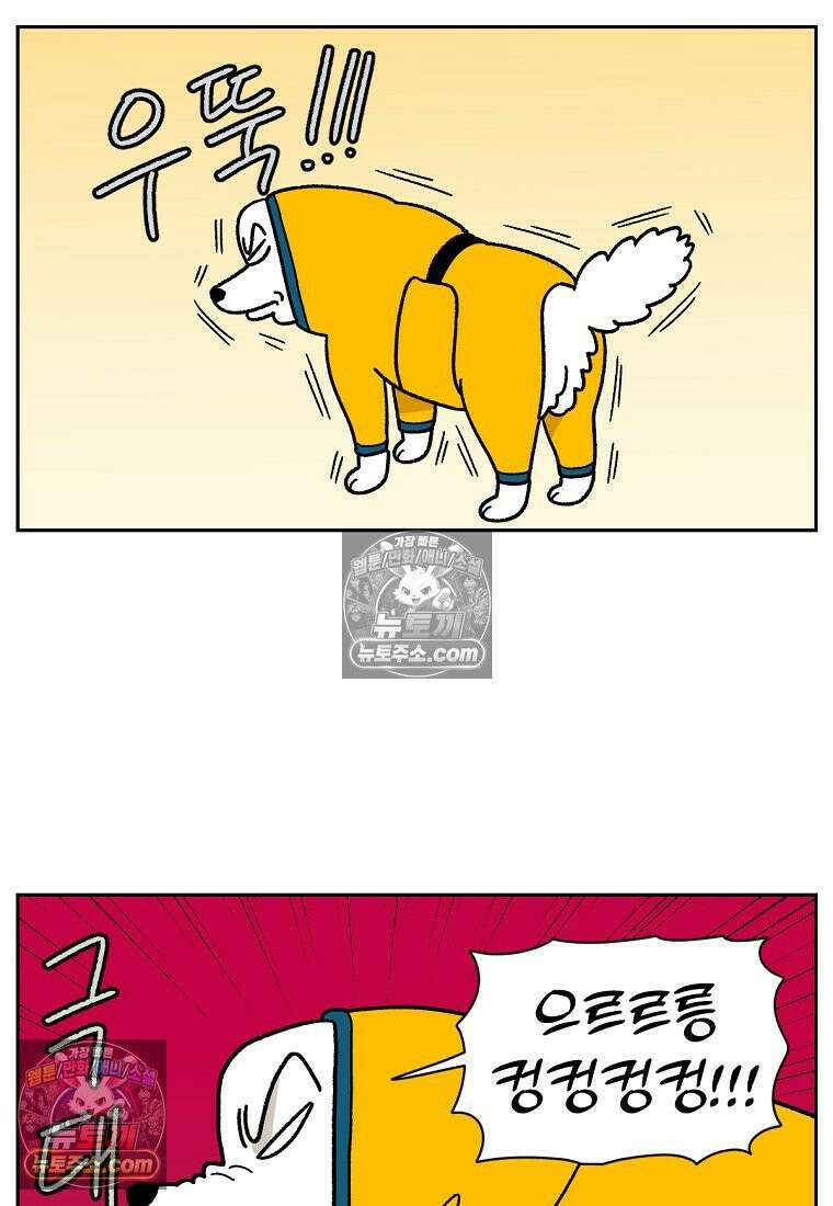 극한견주 시즌2 49화 목욕 마무리 16