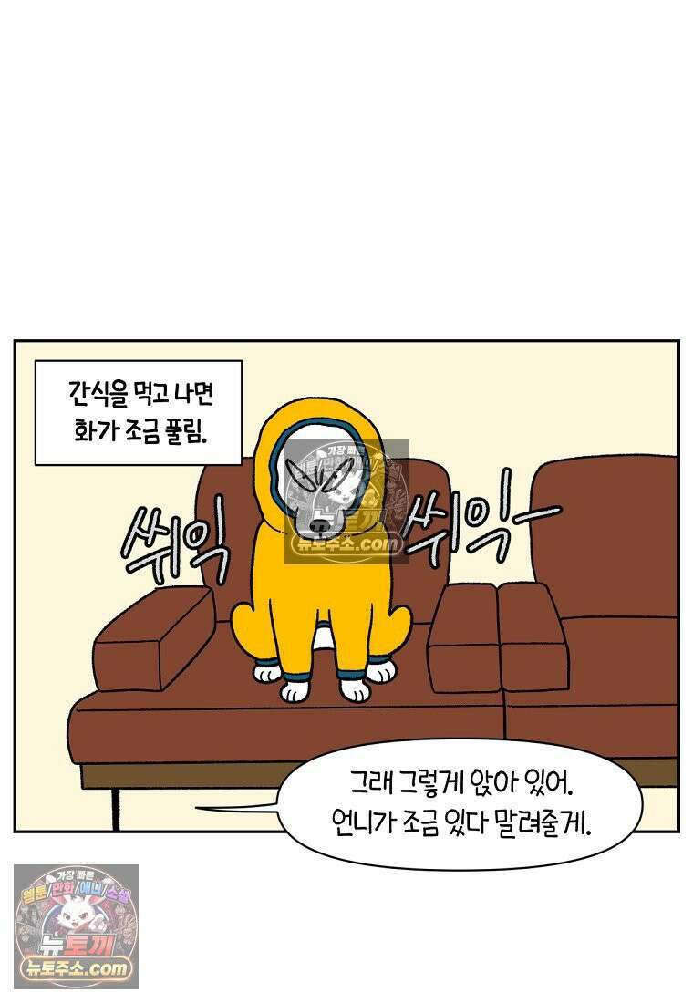 극한견주 시즌2 49화 목욕 마무리 18
