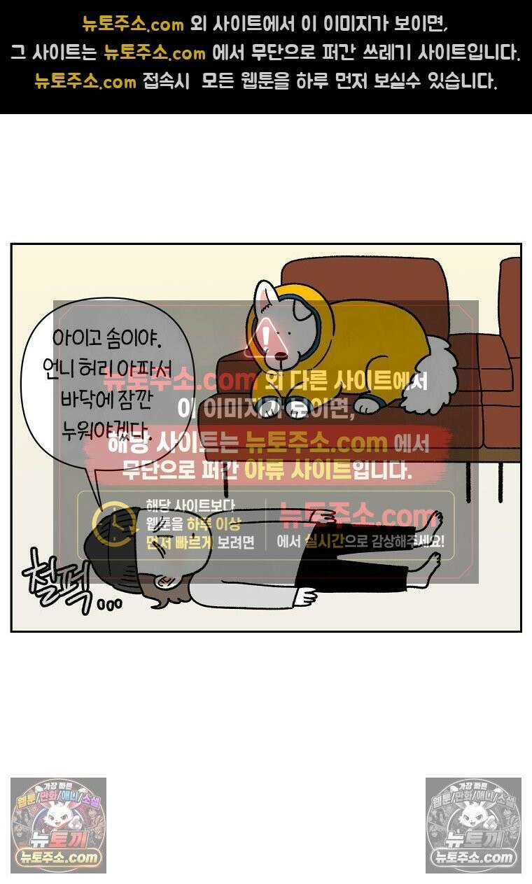 극한견주 시즌2 49화 목욕 마무리 22