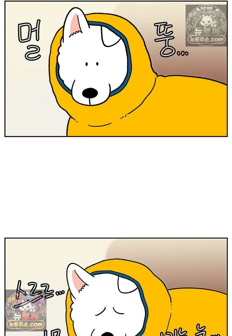극한견주 시즌2 49화 목욕 마무리 23