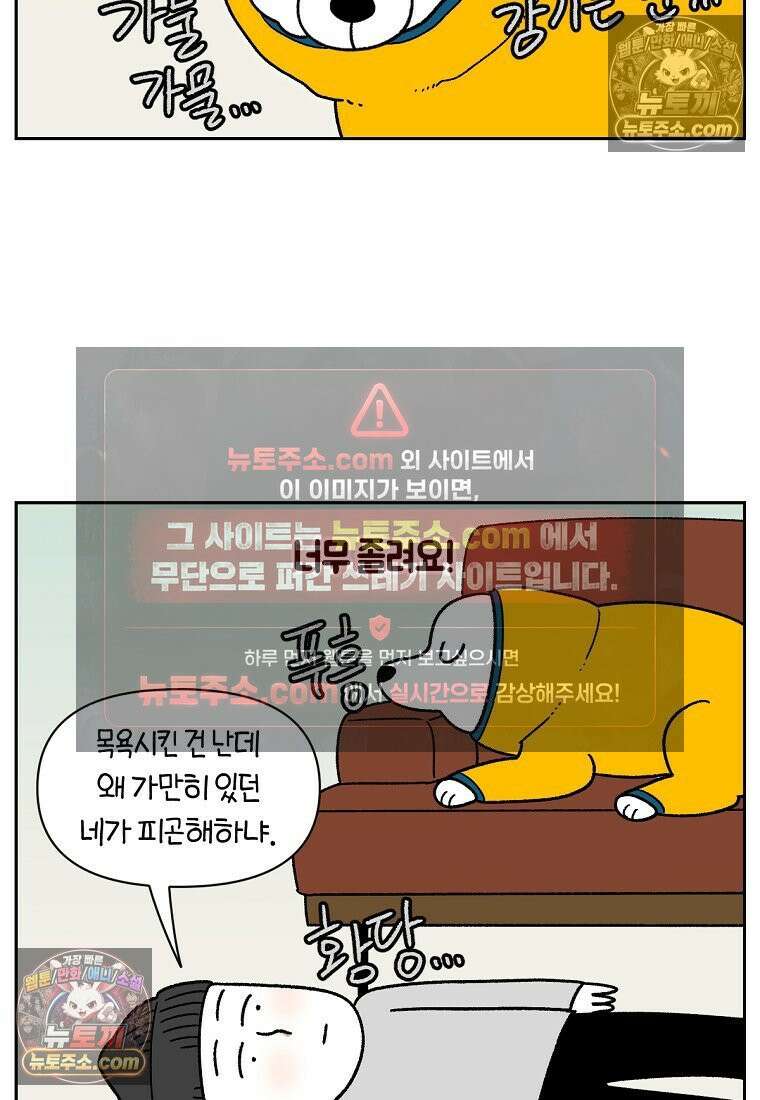 극한견주 시즌2 49화 목욕 마무리 24