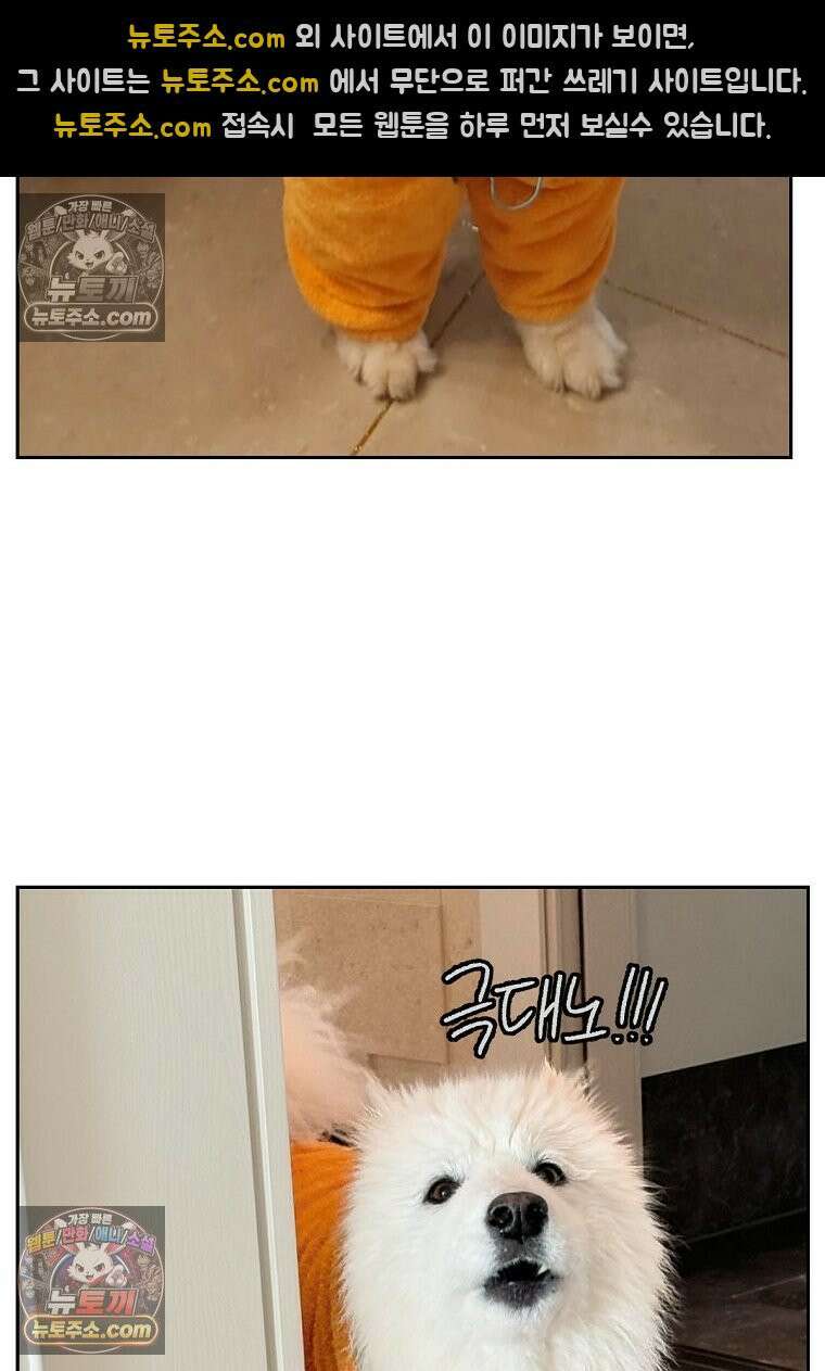 극한견주 시즌2 49화 목욕 마무리 27