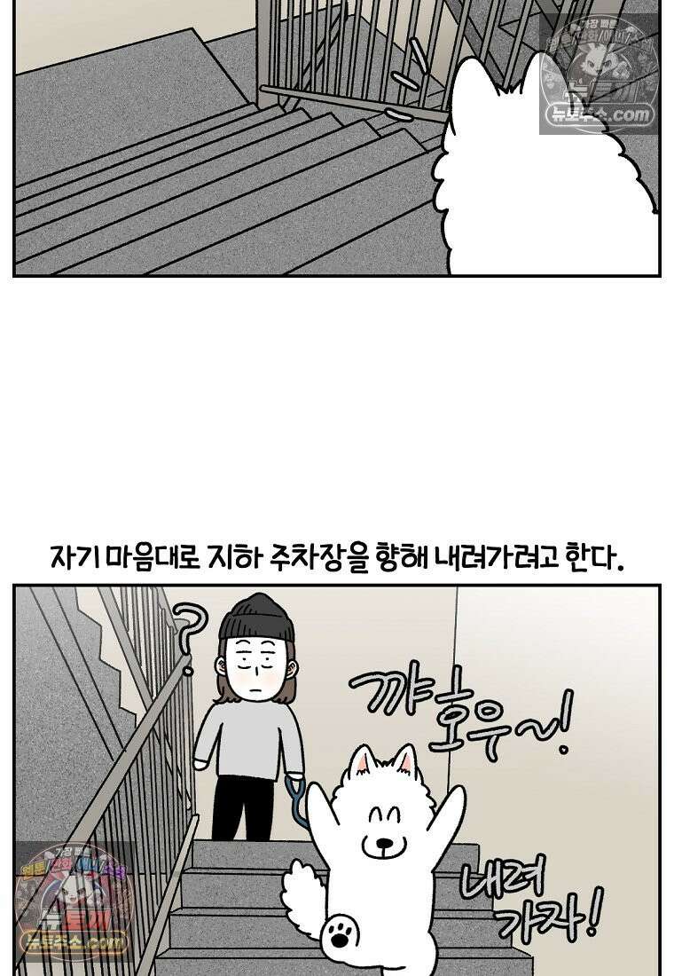 극한견주 시즌2 62화 지하 주차장 3