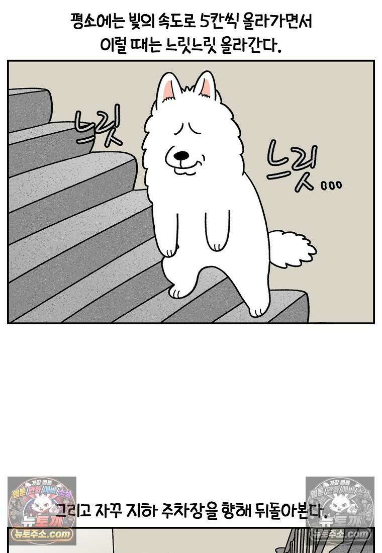 극한견주 시즌2 62화 지하 주차장 8