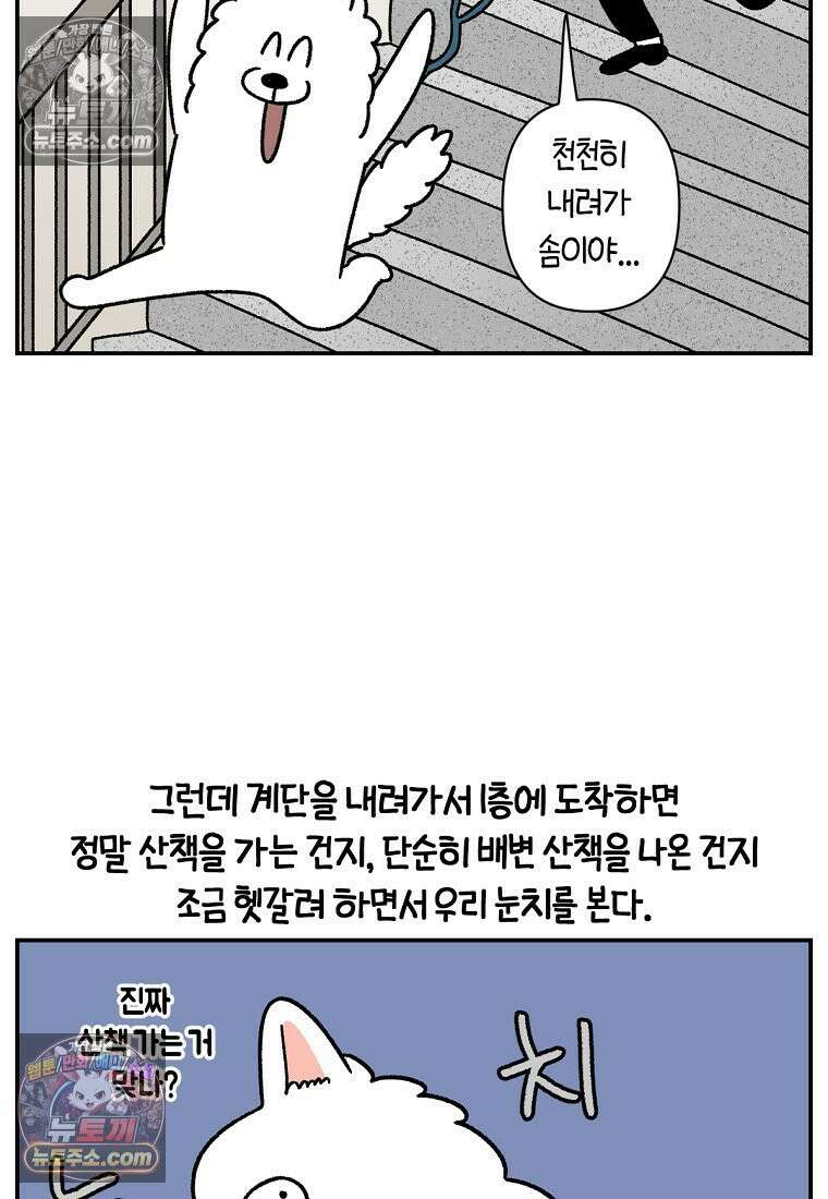 극한견주 시즌2 62화 지하 주차장 14
