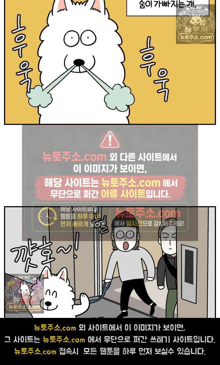 극한견주 시즌2 62화 지하 주차장 21