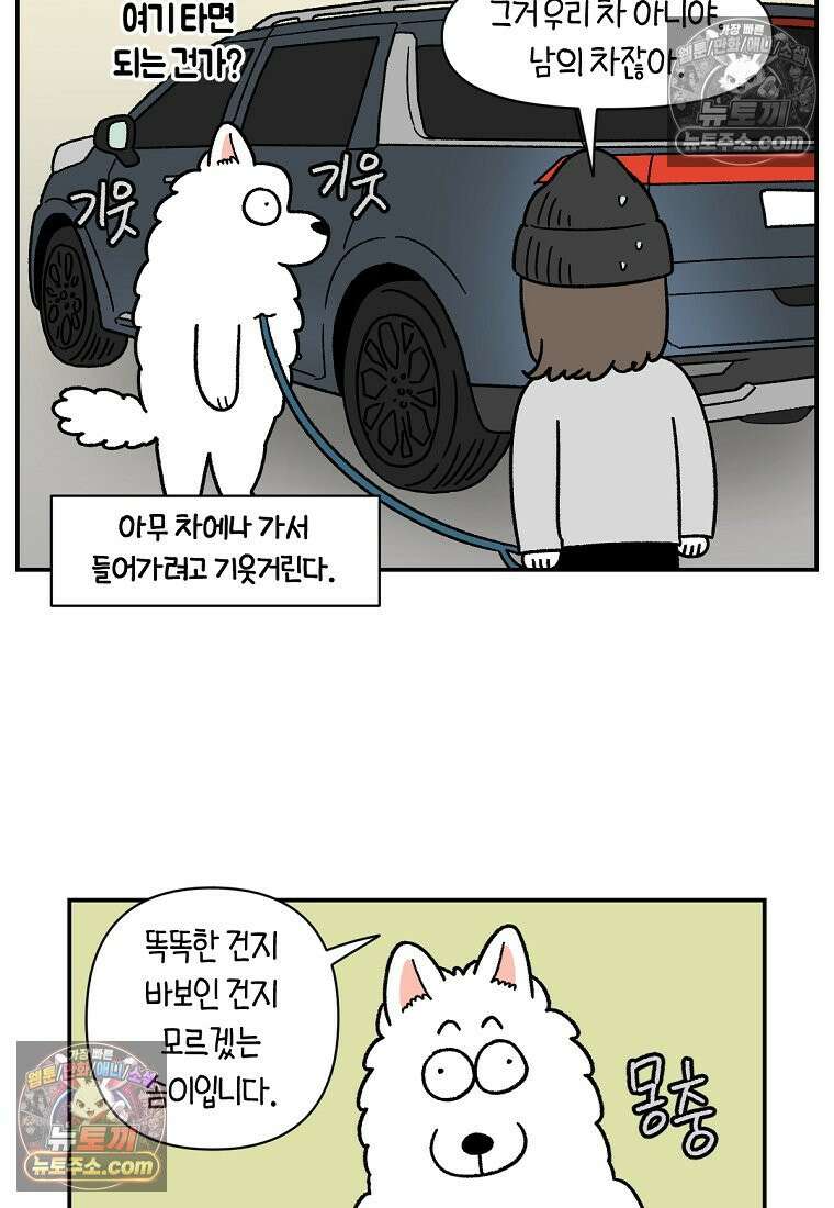 극한견주 시즌2 62화 지하 주차장 24