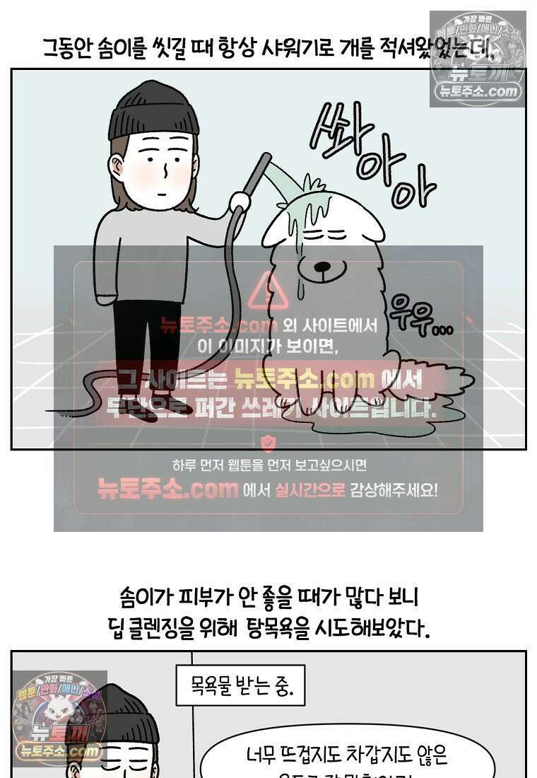 극한견주 시즌2 85화 탕목욕하기 2