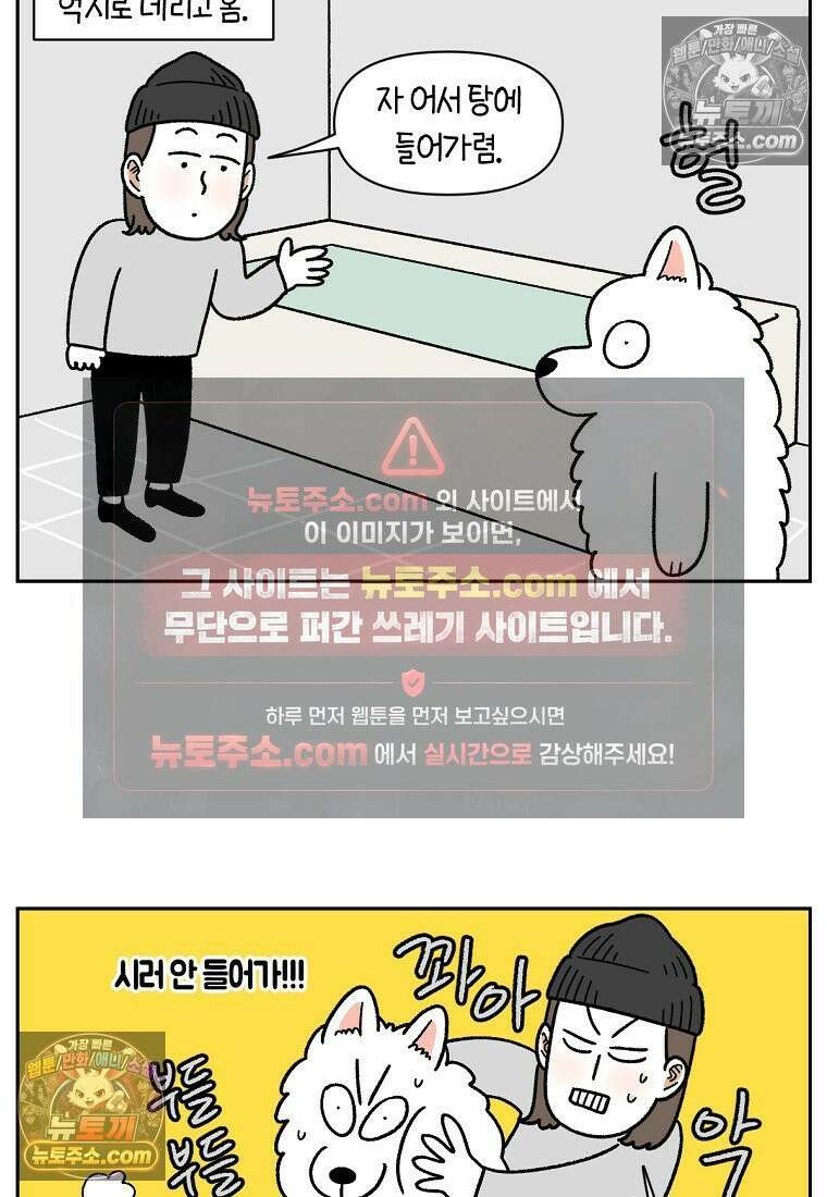 극한견주 시즌2 85화 탕목욕하기 5
