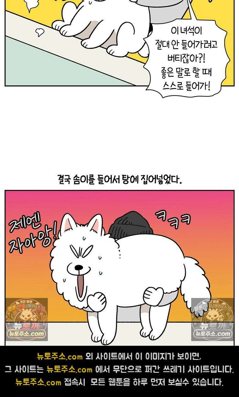 극한견주 시즌2 85화 탕목욕하기 6