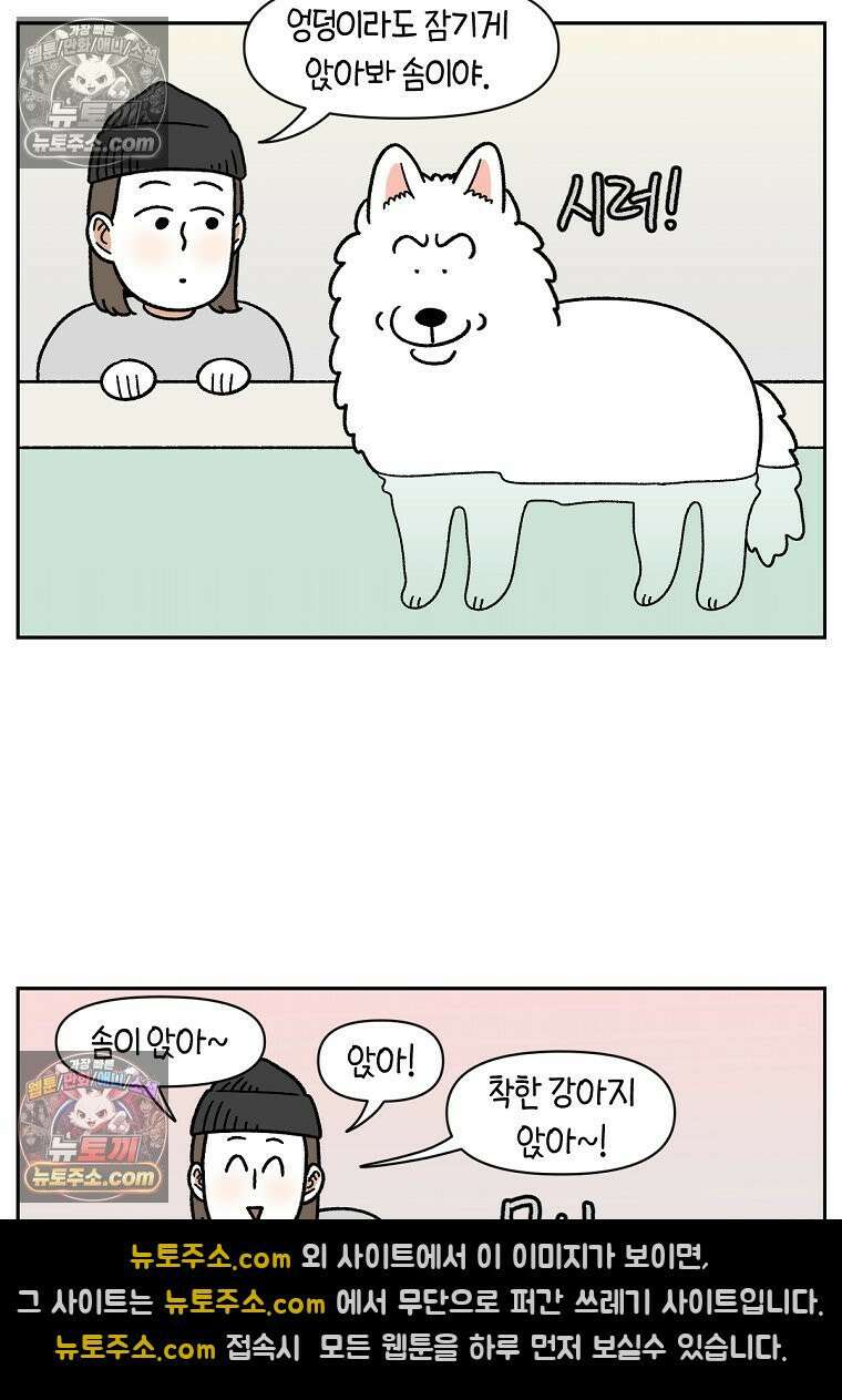 극한견주 시즌2 85화 탕목욕하기 8