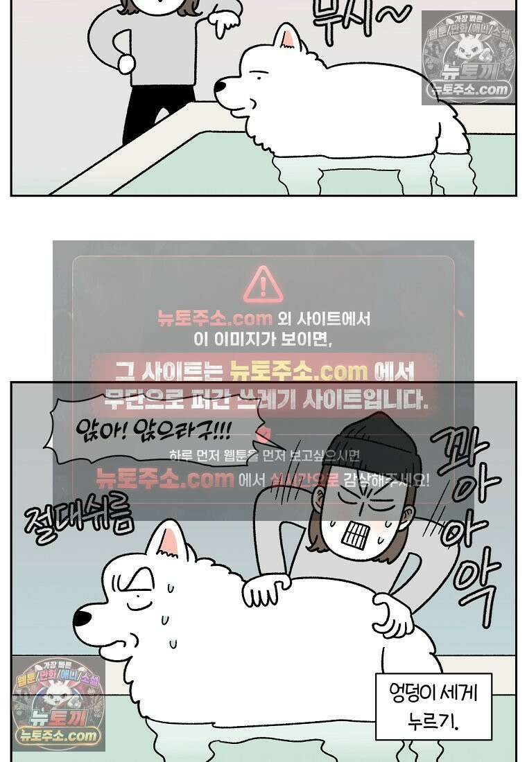 극한견주 시즌2 85화 탕목욕하기 9