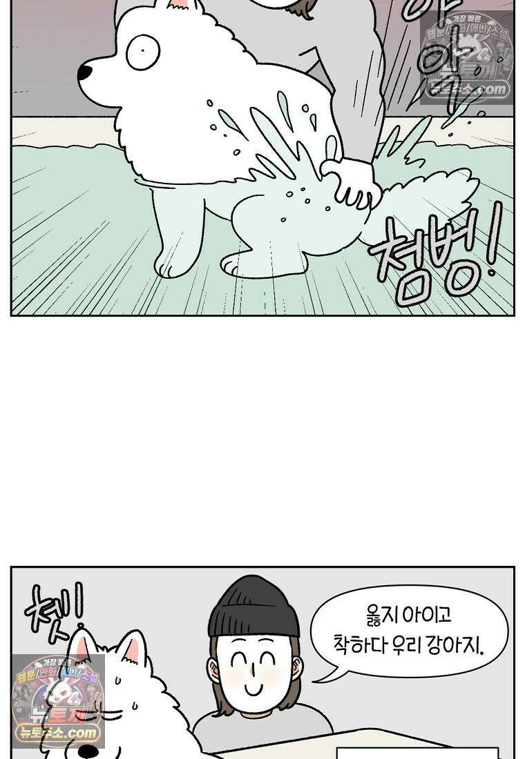 극한견주 시즌2 85화 탕목욕하기 11