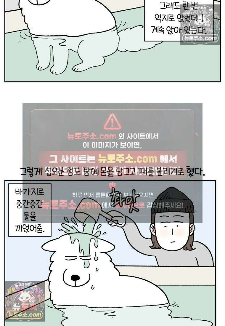 극한견주 시즌2 85화 탕목욕하기 12