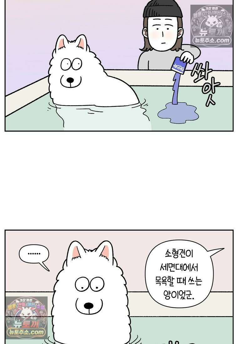 극한견주 시즌2 85화 탕목욕하기 14