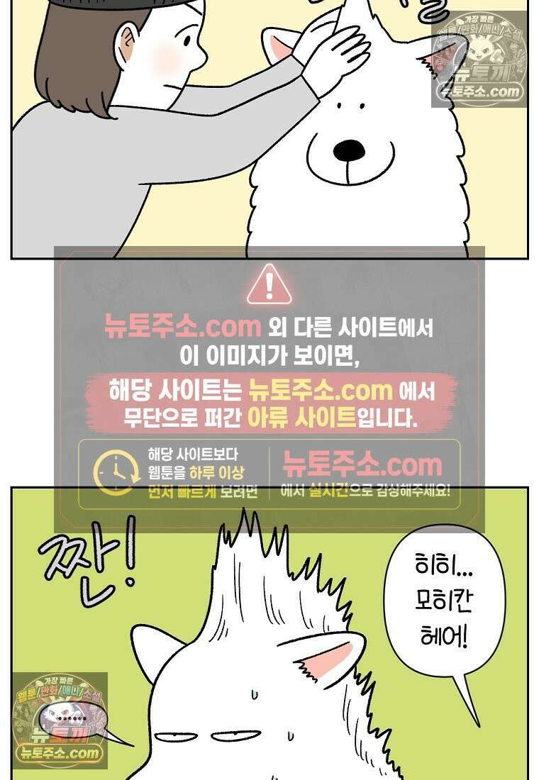 극한견주 시즌2 85화 탕목욕하기 17