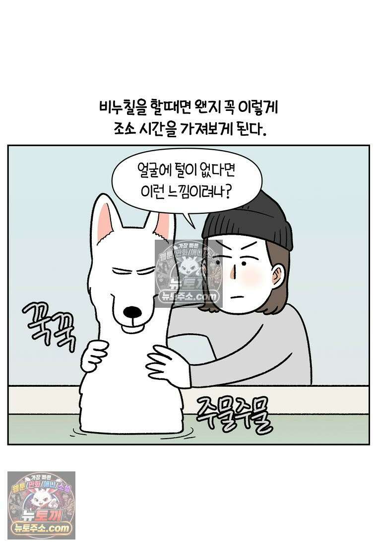 극한견주 시즌2 85화 탕목욕하기 19
