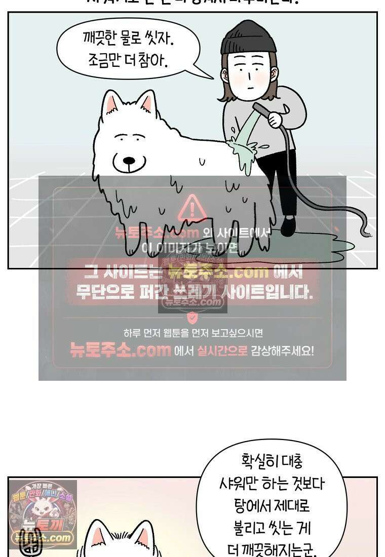 극한견주 시즌2 85화 탕목욕하기 21