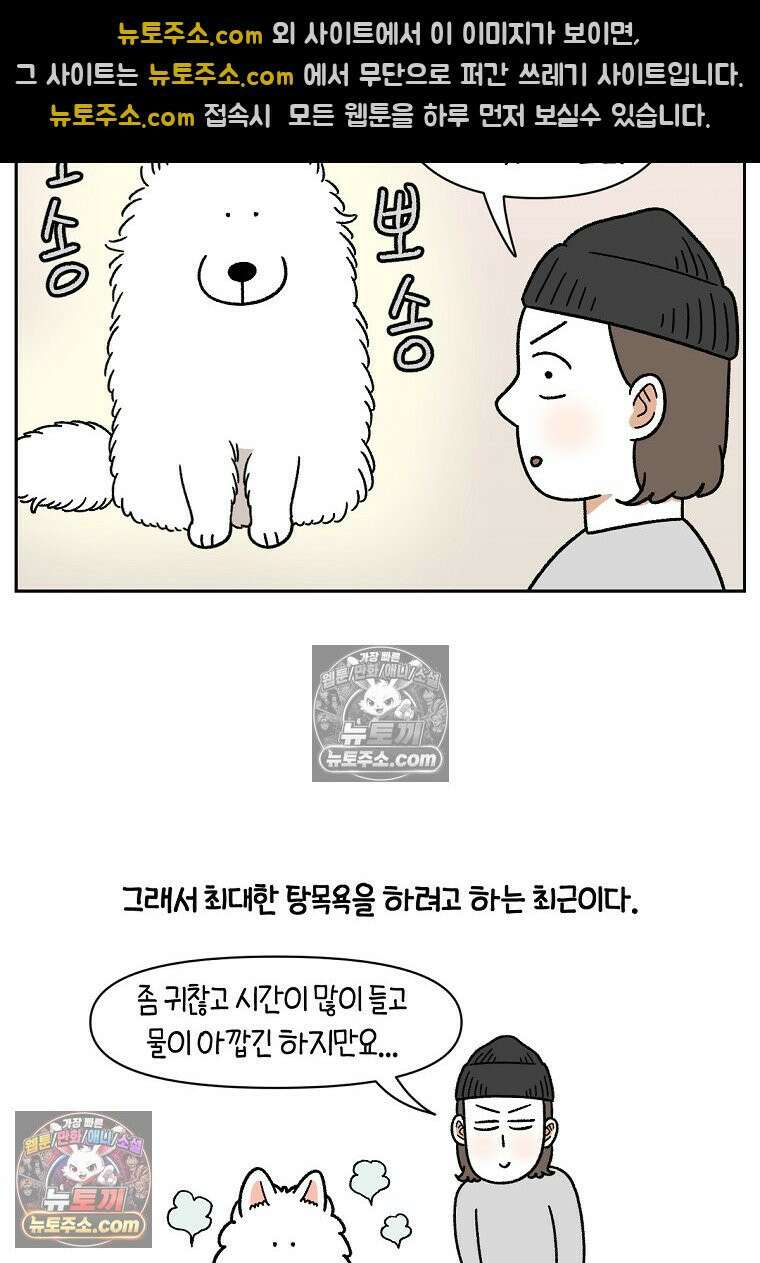 극한견주 시즌2 85화 탕목욕하기 22