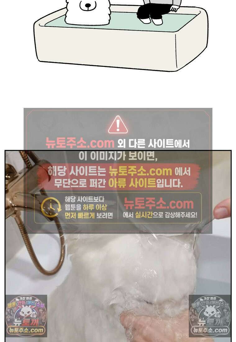 극한견주 시즌2 85화 탕목욕하기 23