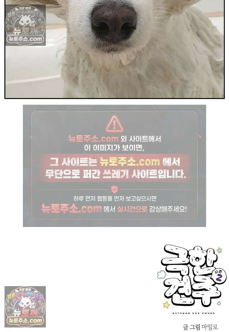 극한견주 시즌2 85화 탕목욕하기 25