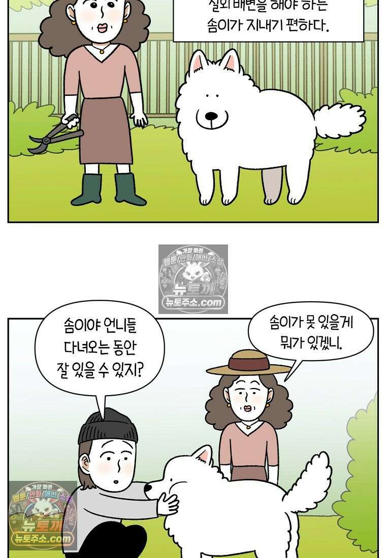 극한견주 시즌2 90화 여행과 솜이 3
