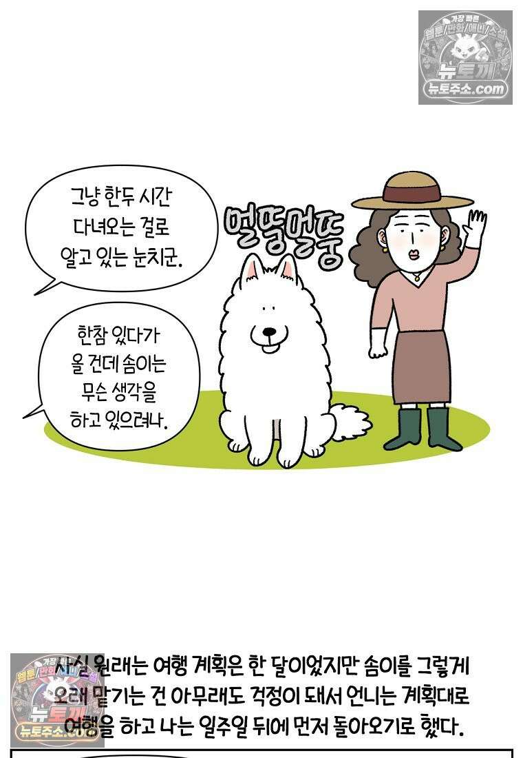극한견주 시즌2 90화 여행과 솜이 5