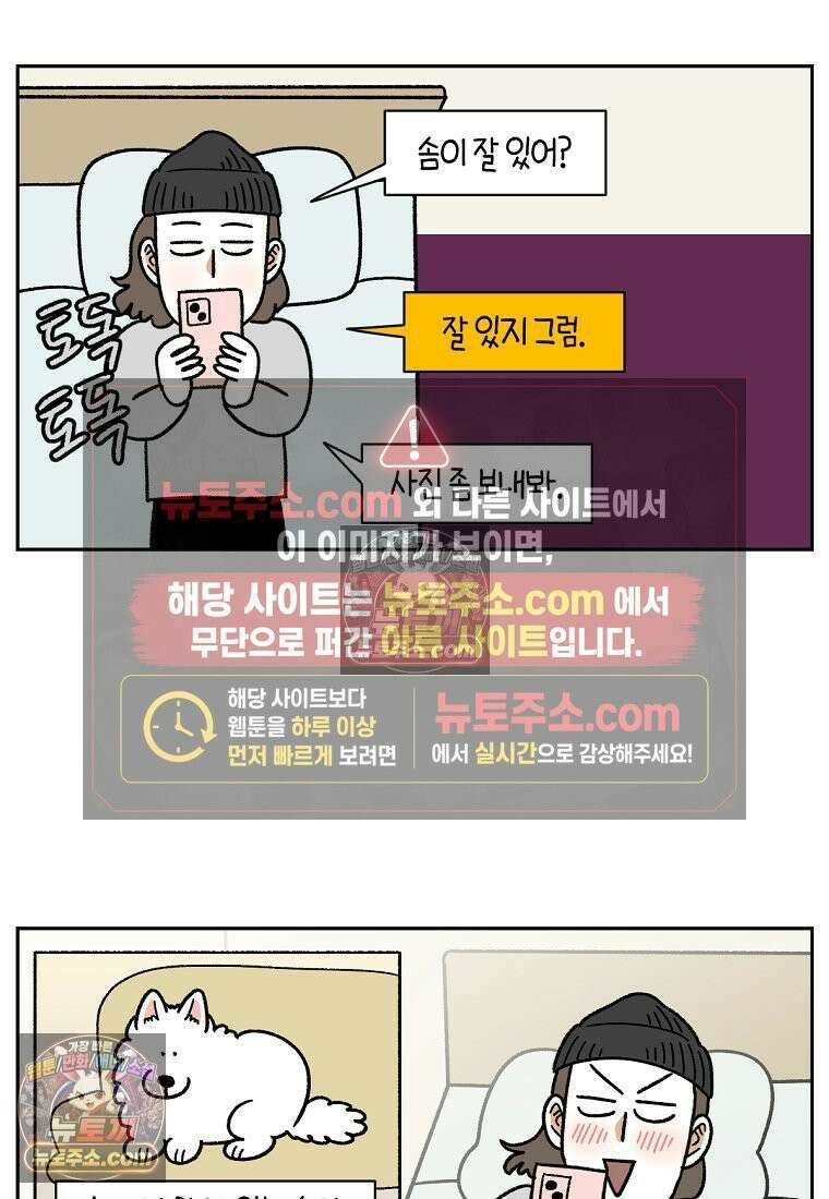 극한견주 시즌2 90화 여행과 솜이 9