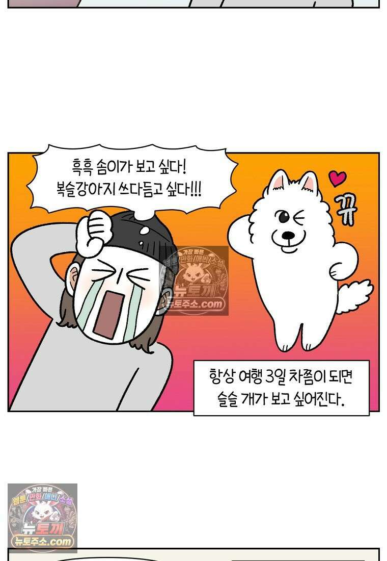 극한견주 시즌2 90화 여행과 솜이 15