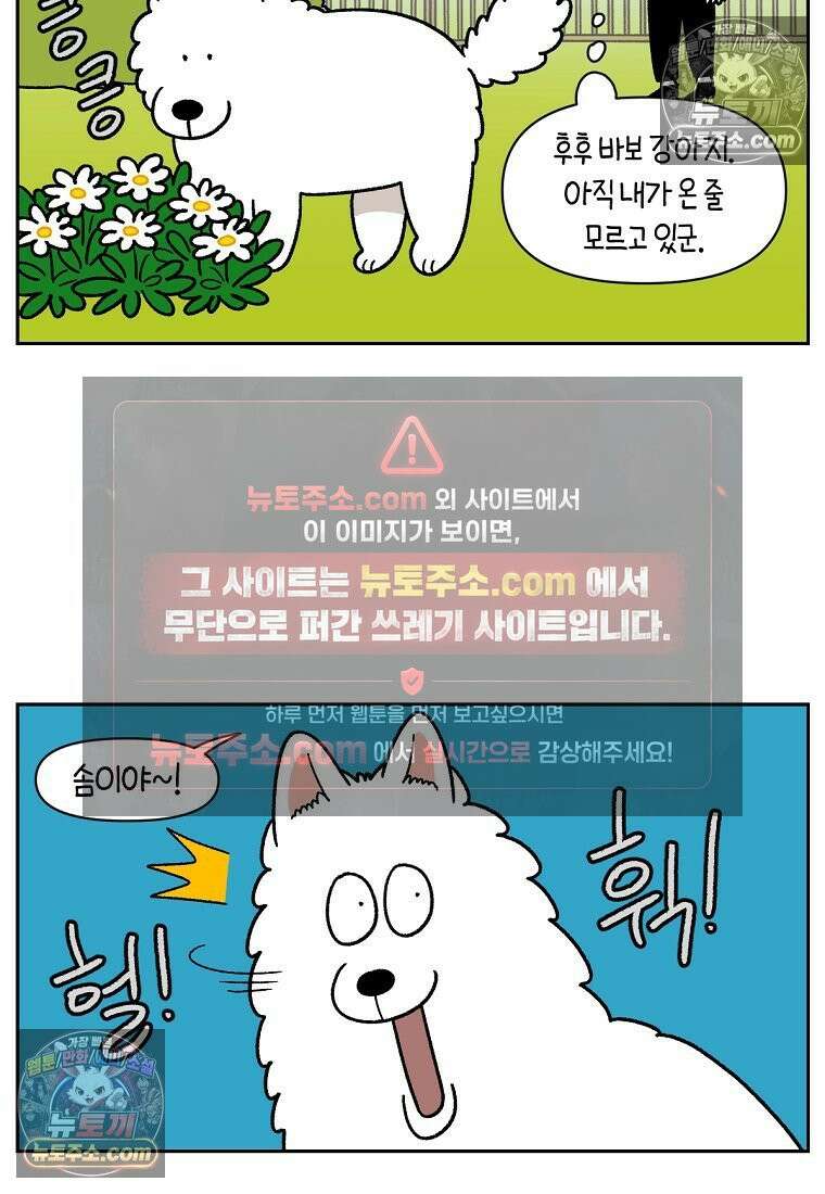 극한견주 시즌2 90화 여행과 솜이 17