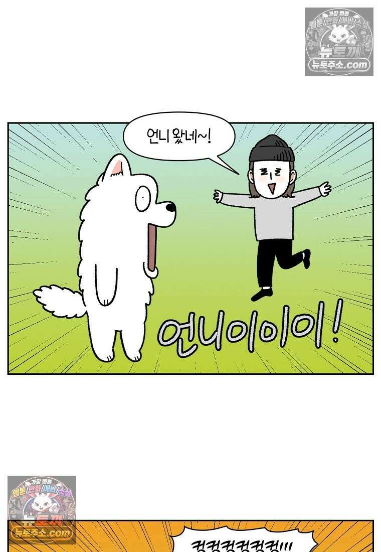 극한견주 시즌2 90화 여행과 솜이 18