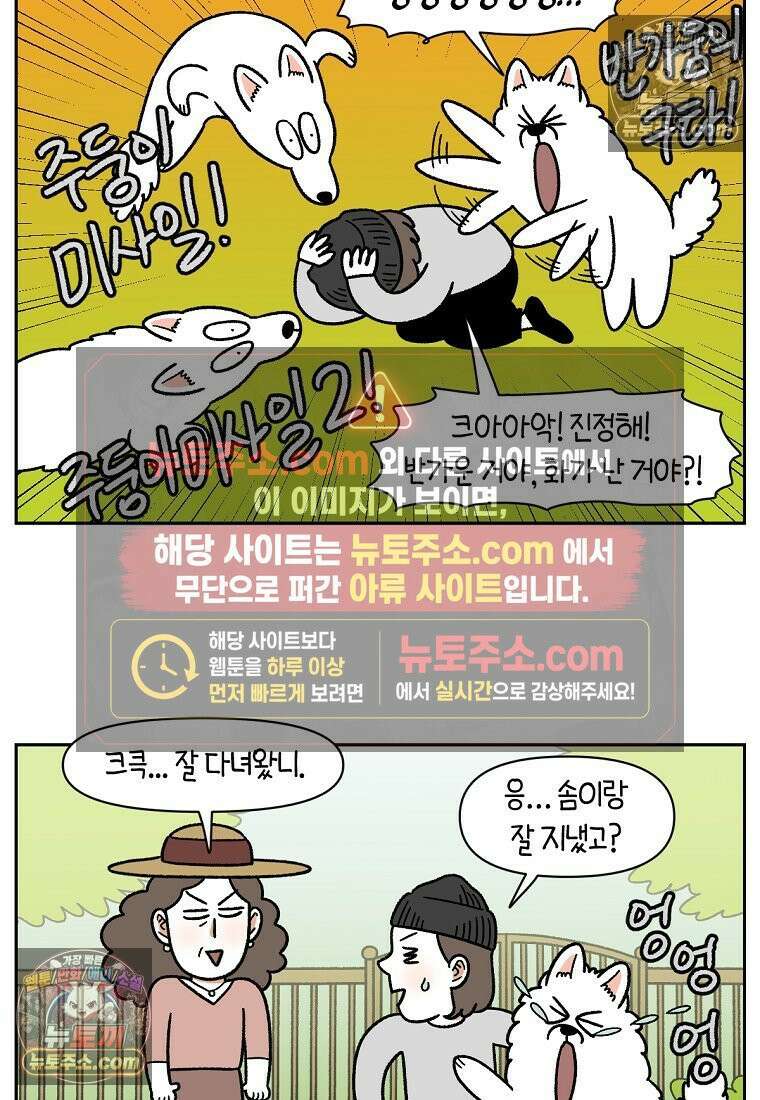 극한견주 시즌2 90화 여행과 솜이 19