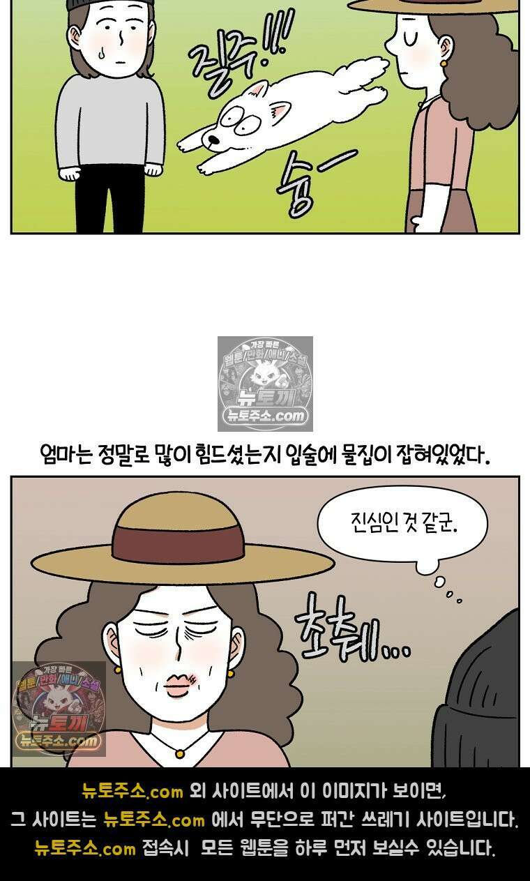 극한견주 시즌2 90화 여행과 솜이 23